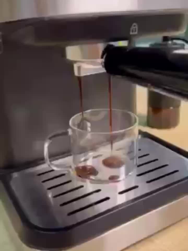 IAGREEA Espresso Machine With Milk Frothing